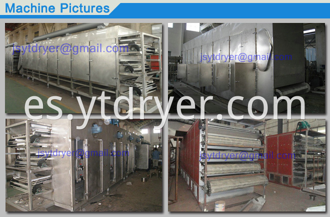 Multilayer Penetrating Belt Dryer